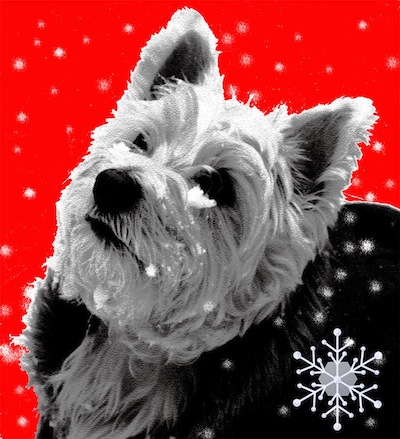 Stylised red, black and white image of West Highland terrier in the snow