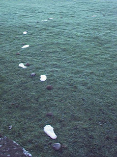 shows stones and plaster footprints winding across cloister