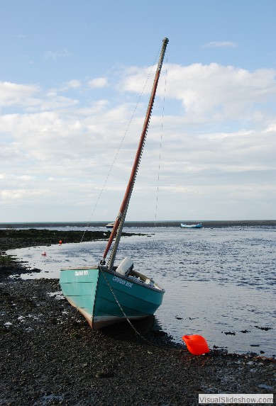 DSC_0131