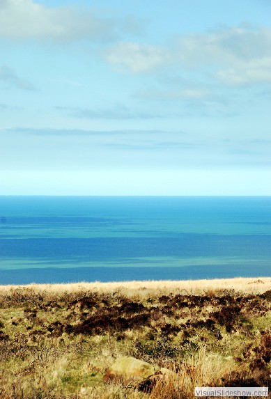 moor
