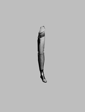Photo of prosthesis against a grey background