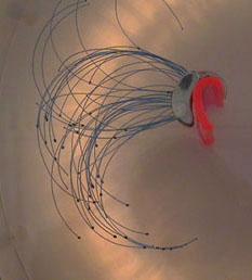 Photo of exhibit
