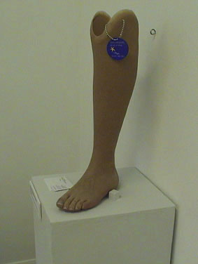 Photo of the silicon leg