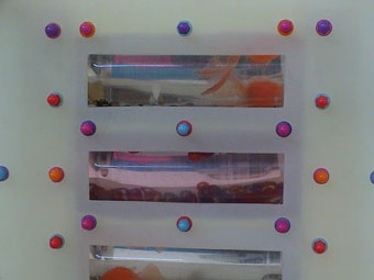 Close up of exhibit