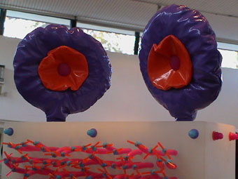 Close up of exhibit