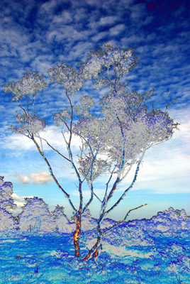 Digitally manipulated photograph of trees on the heath.