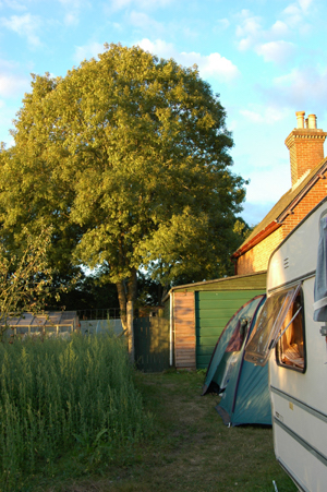Colour photograph showing a white caravan in the foreground, with a green tent behind it but in front of a garage, dominated by an ash tree in the background.