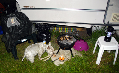Colour photograph of Genie sniffing a barbecue fork, next to a barbecue where sausages are cooking in front of the caravan.