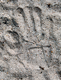 Colour photograph of the mark of a handprint in sand.