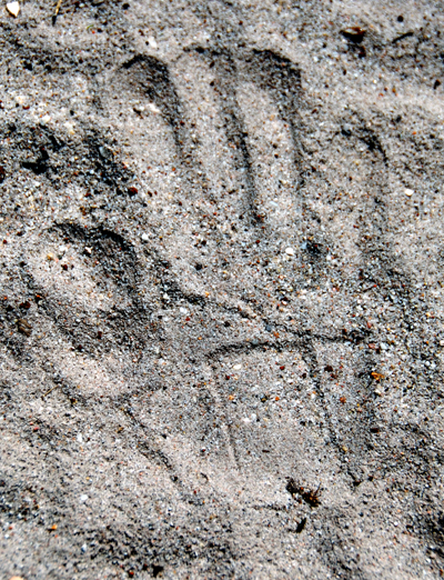 Colour photograph of hand print in sand, with imprint of wrist brace.