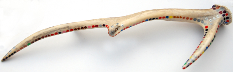 Colour photograph of an antler, painted with coloured dots encircling it.