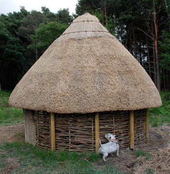 Colour photograph of a recreated Iron Age hut, in the process of being restored.