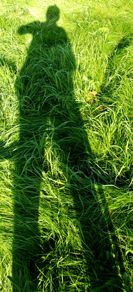 Digitally manipulated colour photograph of a shadow stick figure against a background of long swirling green grass.