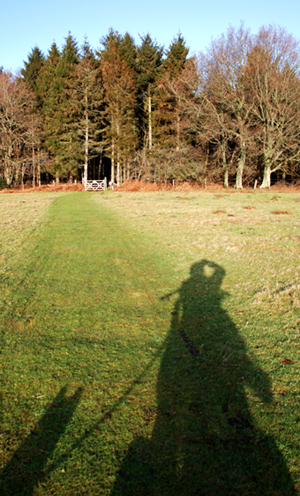 Colour photograph of the shadow of Ju on her scooter and her Westie Genie, against grass and a background of woodland.
