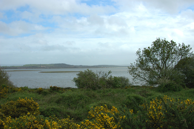 Colour photograph showing grey salt water with trees and gorse bushes in the foreground and more land the other side of the water, with cloudy blue sky above it. Two small flat islands can also be seen.