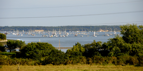 Colour photograph of sailing boats in the bay, viewed across a field and trees.