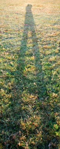 Colour photograph of the artist's shadow, silhouetted on the grass.