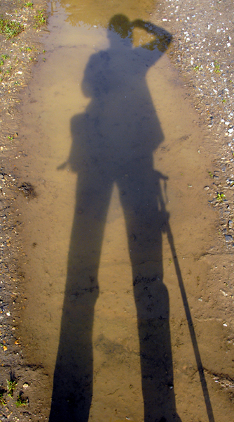Digitally manipulated colour photograph of a shadow stick figure against a background of a puddle in sandy soil.