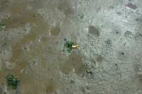 Colour photograph showing a close-up of wet sand.