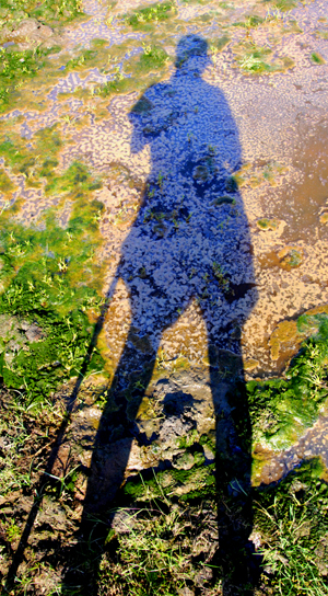 Manipulated colour photograph of an elongated shadow of a figure with a walking stick, cast over mud and grass
