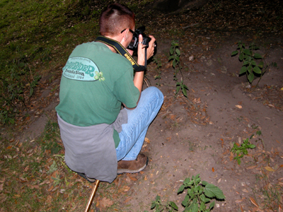 Colour photograph taken from behind a short-haired woman in glasses, crouched down photographing a rabbit burrow.