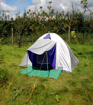 Colour photograph of a small, silver and purple tent, pitched on long grass with a cloudy blue sky behind
