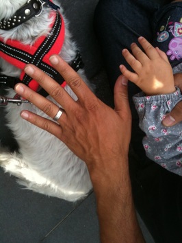 Colour photograph of a dark-skinned male adult hand wearing a wedding ring stretching out next to an infant's lighter hand, with the back of a West Highland Terrier behind them.
