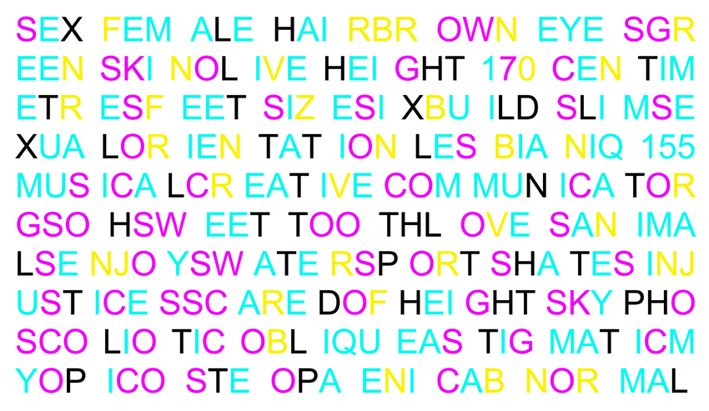 This is a digital text-based image. Against a white background, ten horizontal lines of capital letters are grouped in threes, with a space that is approximately the width of a letter between each group. The letters are coloured variously in cyan blue, magenta, yellow and black, and are printed in a plain, 'sans serif' type face. Initially the letters are meaningless, hard to look at and appear to be random, but on close examination they are seen to read: “Sex female hair brown eyes green skin olive height 170 centimetres feet size six build slim sexual orientation lesbian IQ 155 musical creative communicator GSOH sweet tooth loves animals enjoys watersports hates injustices scared of heights kyphoscolitic oblique astigmatic myopic osteopaenic abnormal.”