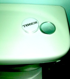 Small colour photograph of some 'Normal' mirrors on top of a toilet cistern.