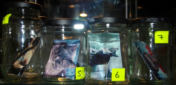 Colour photograph of glass jars on a glass shelf, containing photographs of animals and people.
