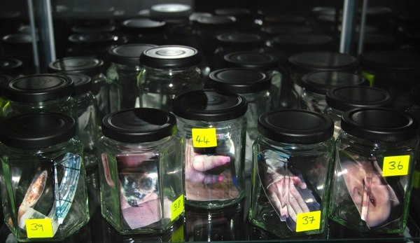 Colour photograph of glass jars on a glass shelf, containing photographs of animals and people.